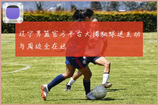 辽宁男篮官方平台大揭秘球迷互动与周边全在这