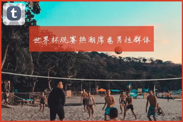 世界杯观赛热潮席卷男性群体