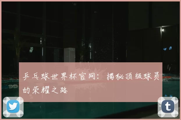 乒乓球世界杯官网：揭秘顶级球员的荣耀之路