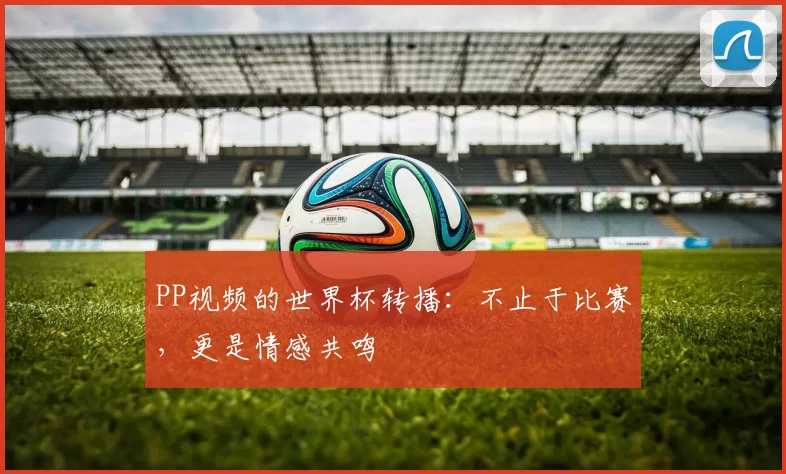PP视频的世界杯转播：不止于比赛，更是情感共鸣
