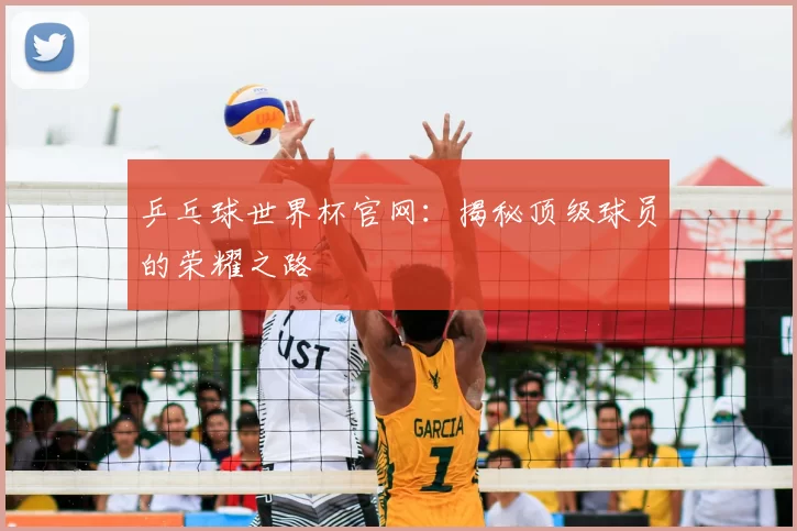 乒乓球世界杯官网：揭秘顶级球员的荣耀之路