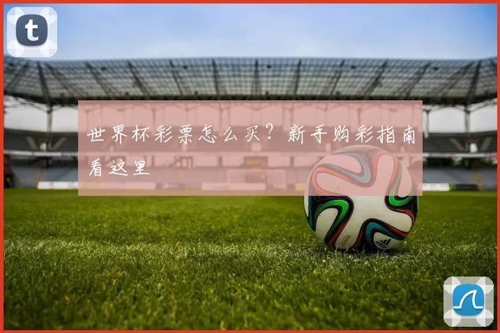 世界杯彩票怎么买?新手购彩指南看这里