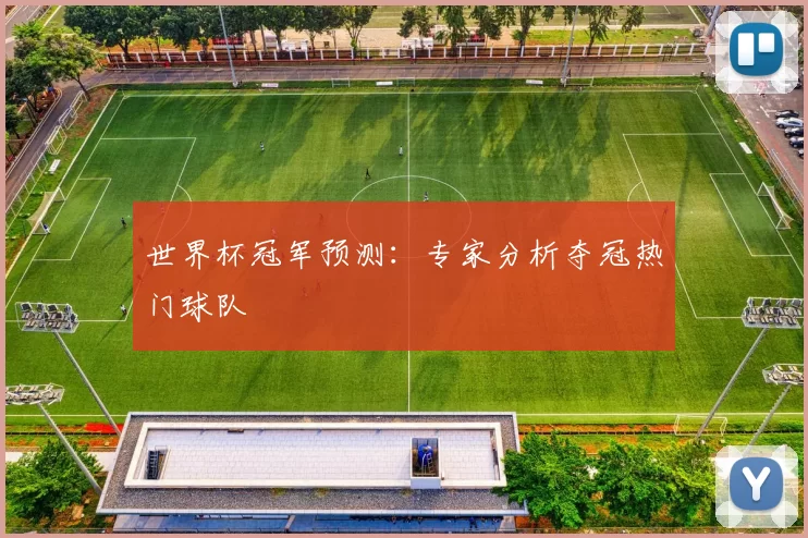 世界杯冠军预测:专家分析夺冠热门球队