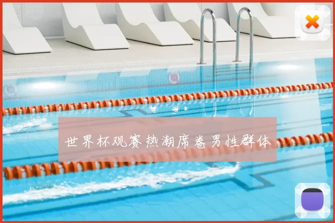 世界杯观赛热潮席卷男性群体