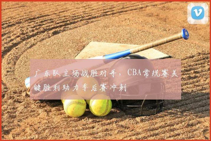 广东队主场战胜对手，CBA常规赛关键胜利助力季后赛冲刺