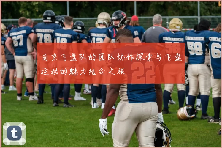 南京飞盘队的团队协作探索与飞盘运动的魅力结合之旅