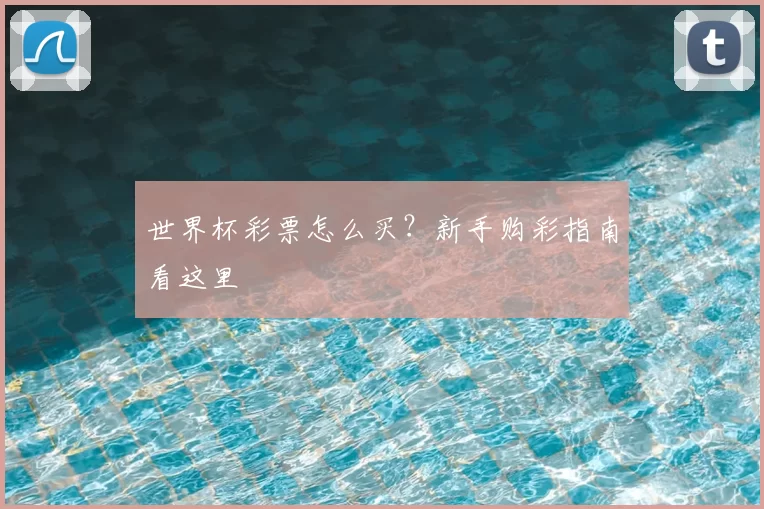 世界杯彩票怎么买?新手购彩指南看这里