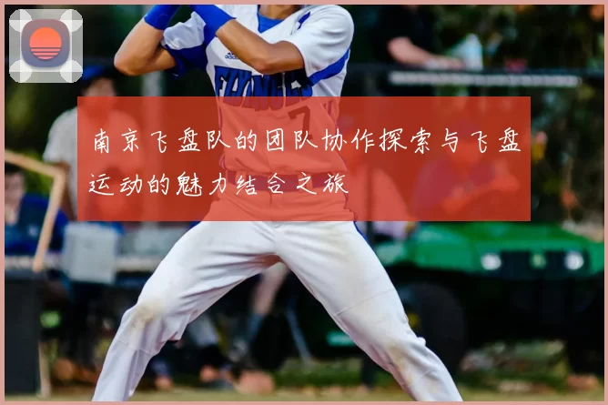 南京飞盘队的团队协作探索与飞盘运动的魅力结合之旅