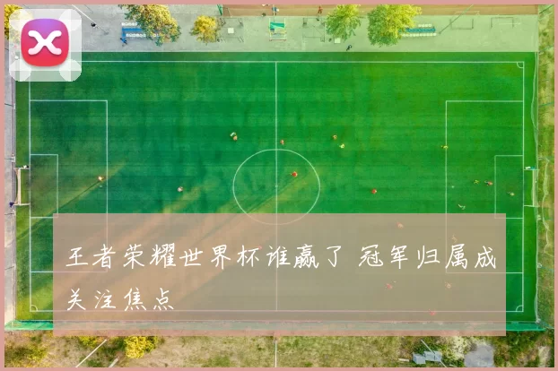 王者荣耀世界杯谁赢了 冠军归属成关注焦点